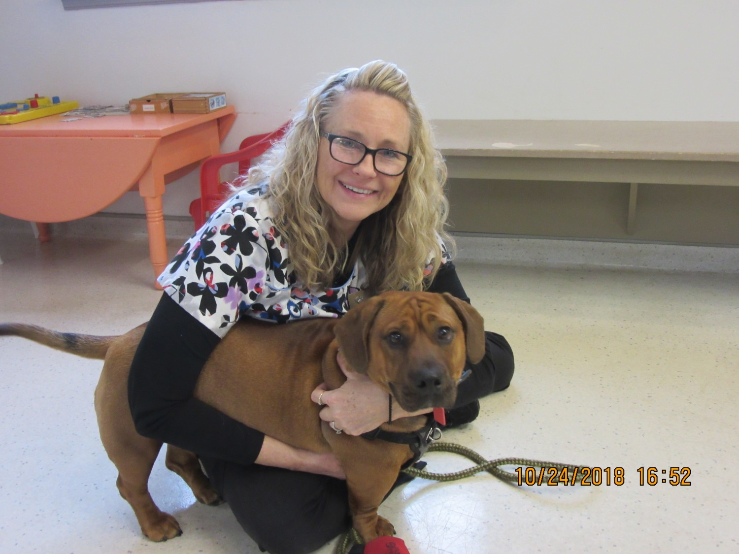 Animal Hospital of Warwick Our Staff